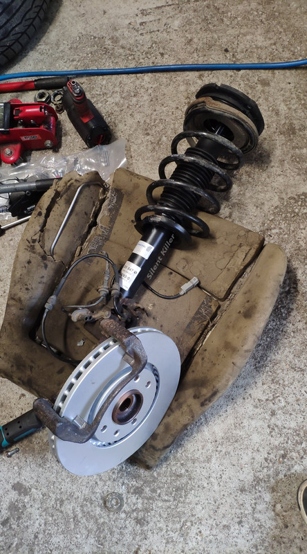 53713874_2351442988464438_901771595461165056_o