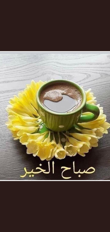 Screenshot_٢٠٢١٠٥٢٩-١٢١١٤٤