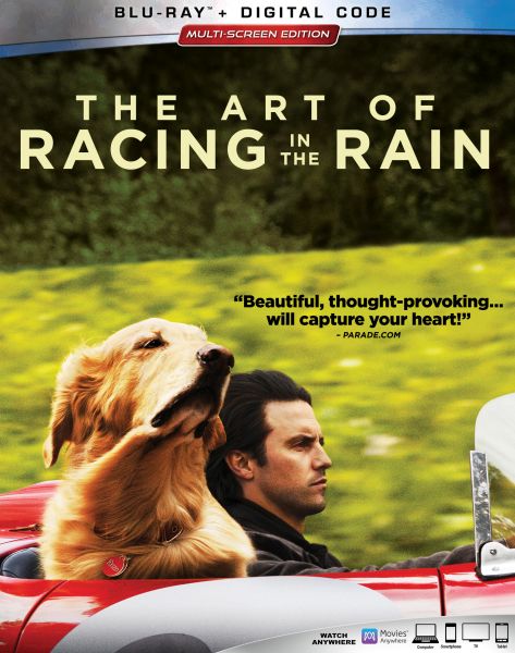 Art of Racing in the Rain , The (2019)