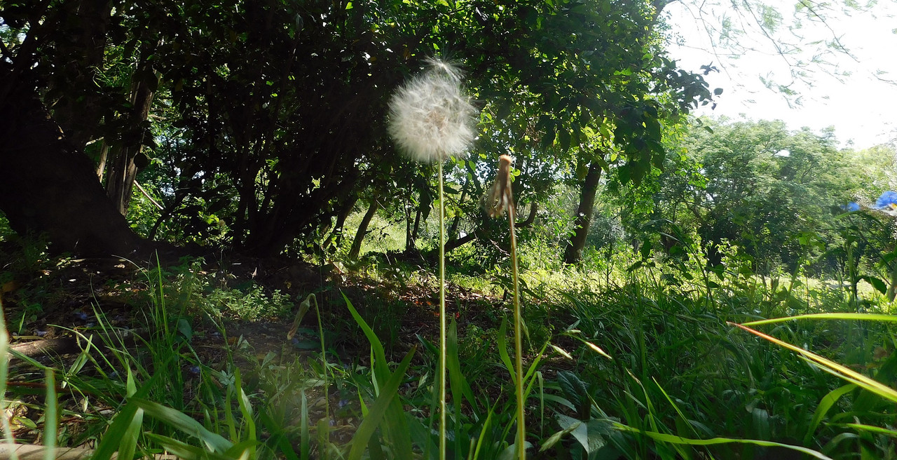 DSCN0254.jpg