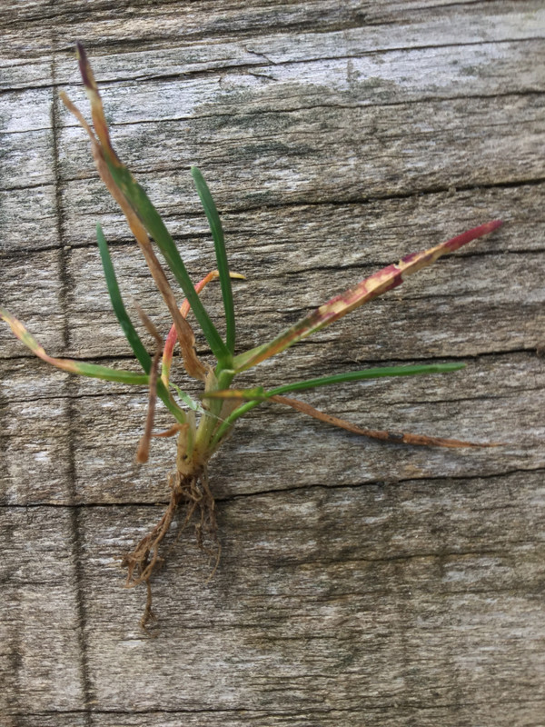 C15C6A12-9211-4E23-BEA7-050397E360EB