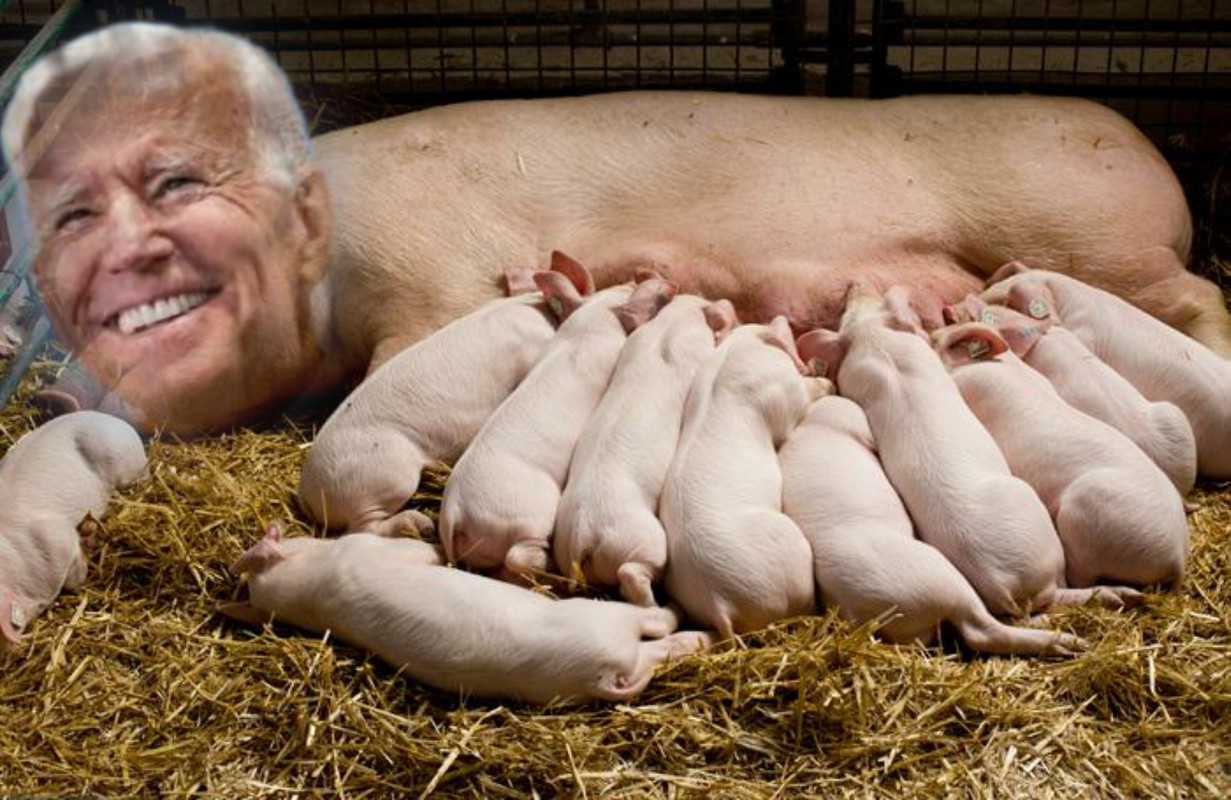 PicsArt_05-10-05.49.49