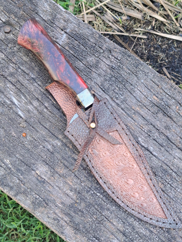 WhatsApp Image 2024-01-09 at 09.51.38 (1)