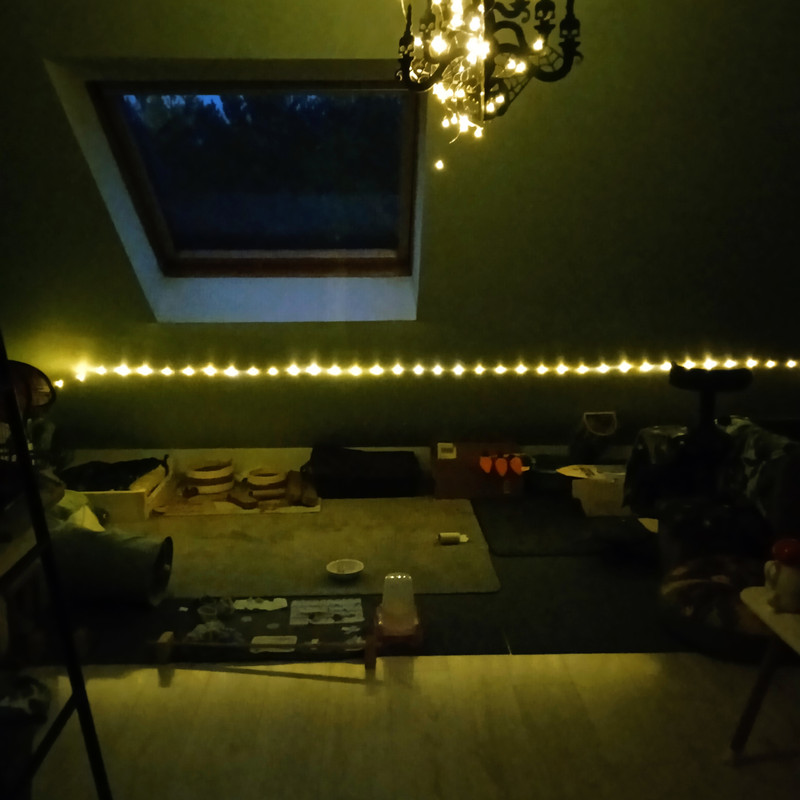 IMG_20241030_165543.jpg