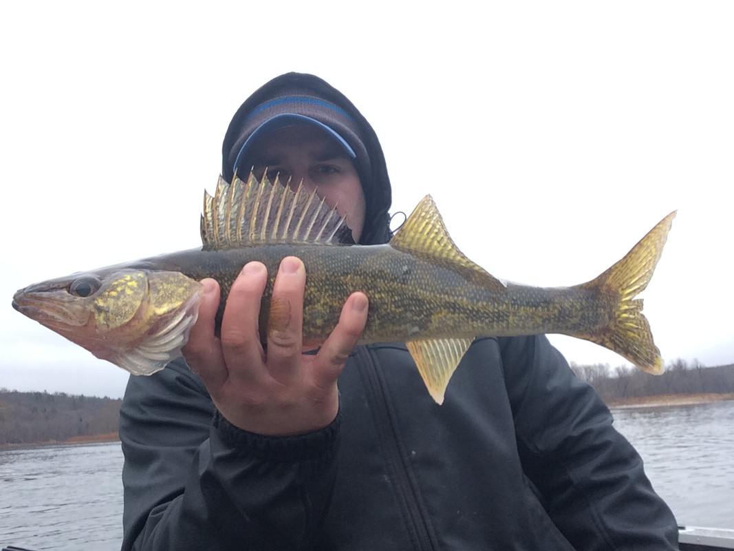 C919B5FA-2FAE-4694-9DF2-F53413E97D06