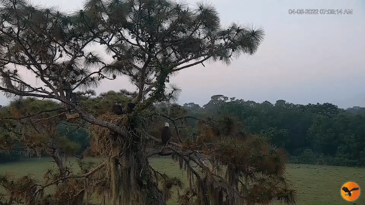 Webp.net-gifmaker (16)