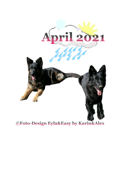 An den Beitrag angehängtes Bild: https://i.postimg.cc/RVGLyXrR/April-2021.png