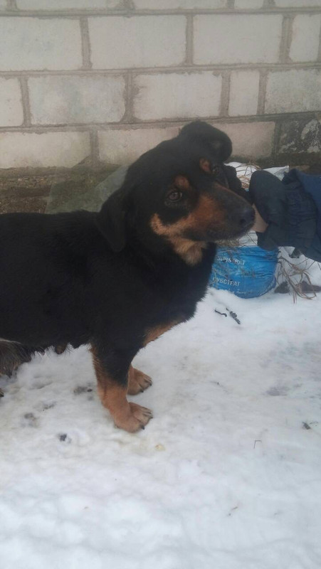 D31FAAB1-3FAB-41C0-BF56-8A18FF2B21F8