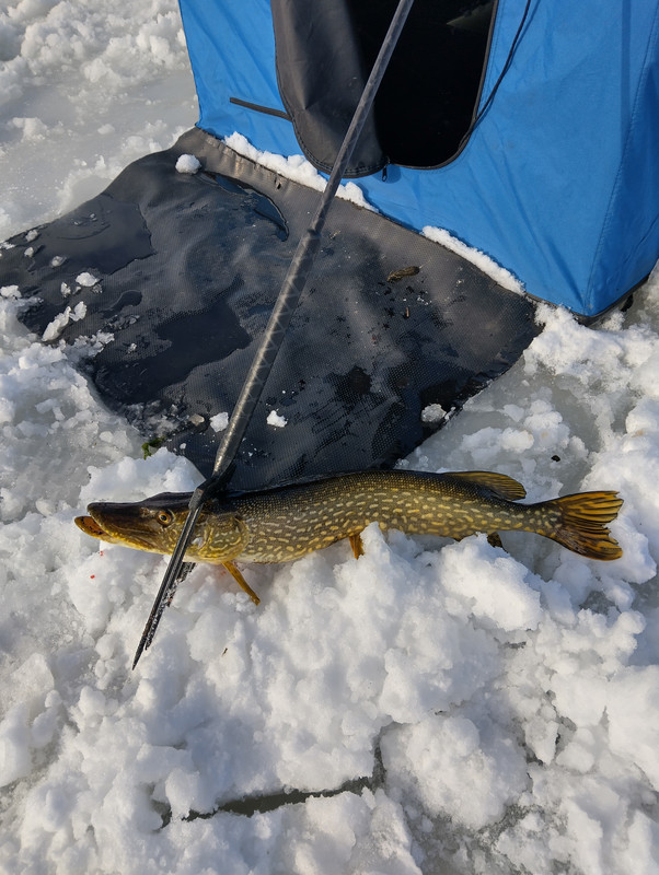 IMG 20260204 145932 HDR