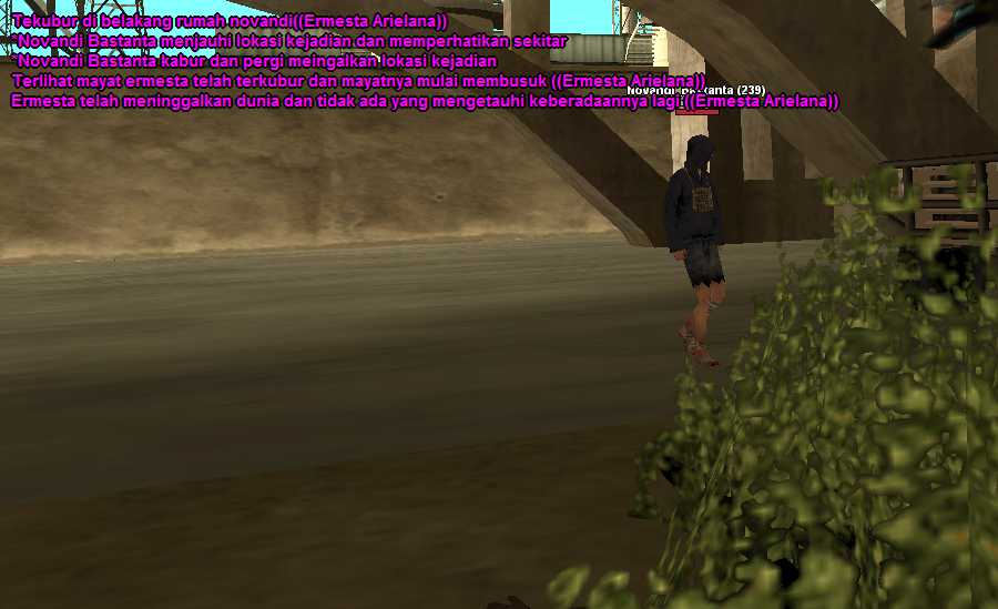 ss12.png