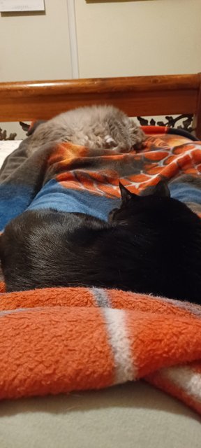 20220127-115958.jpg