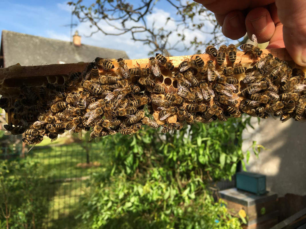 12C718CF-DF00-492E-A284-FB4BD422E9F0