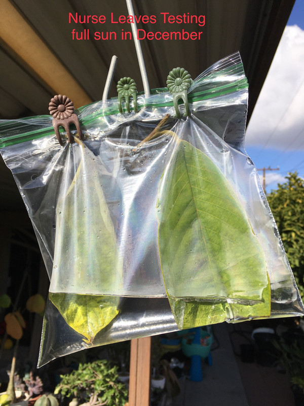 CFCB3CA0-FB67-4DBB-B0AE-04318BBF7AB0