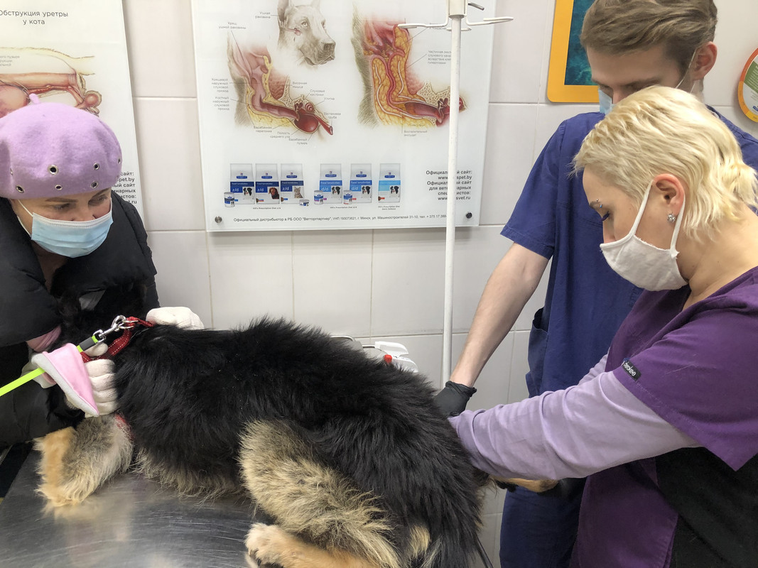 CC9B57F1-BEB1-48D9-9087-CF9C78C6C45E