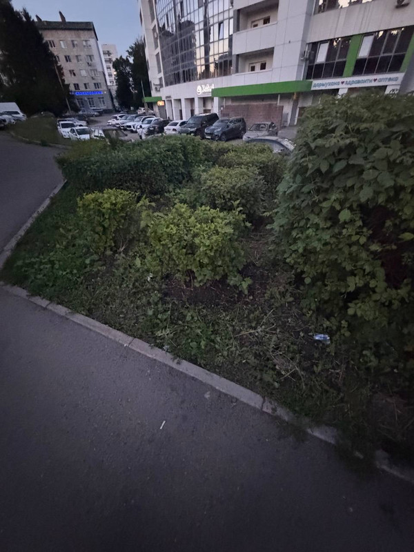 IMG 2656