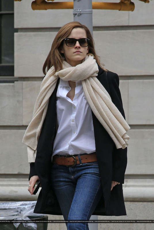 watsonuncensored.blogspot.com (16)