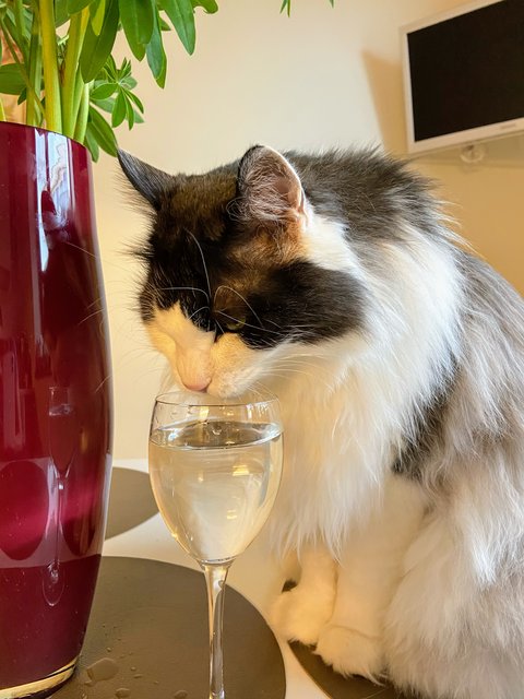 9-DF91-D14-B471-49-D2-B486-10927-CBC6270