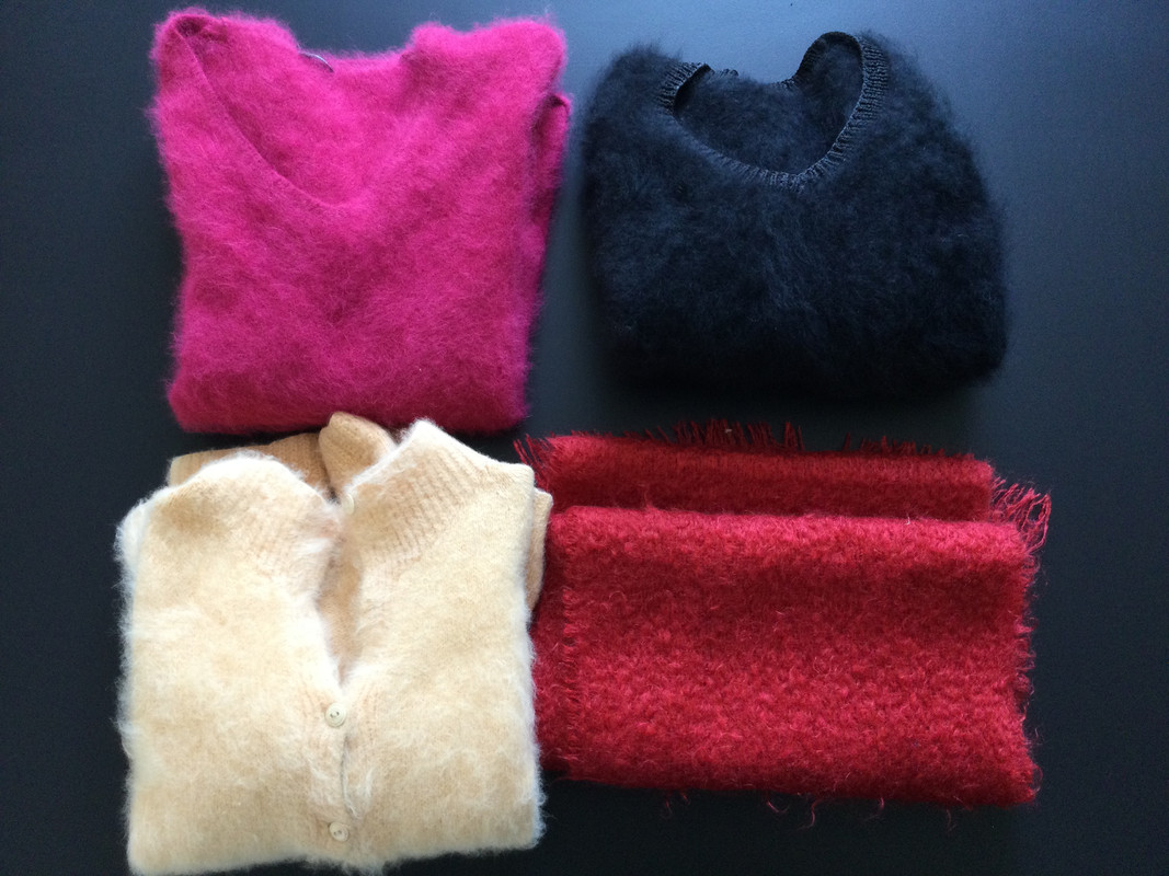 228E84B9-A55A-4597-88BE-B67BB0473672