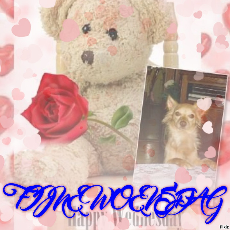 Image and video hosting by TinyPic