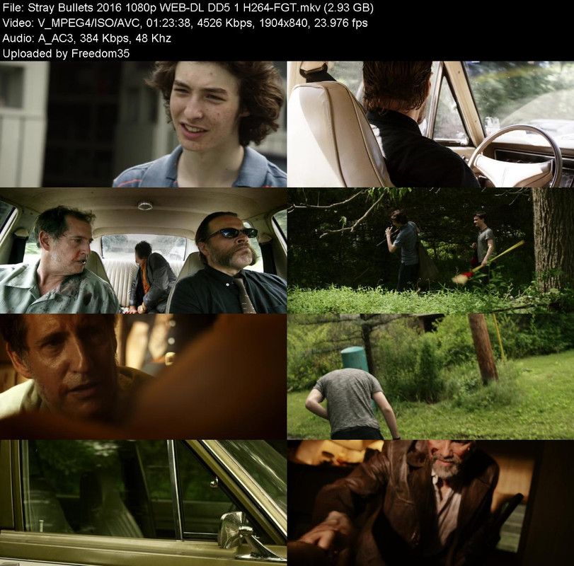 Stray-Bullets-2016-1080p-WEB-DL-DD5-1-H2