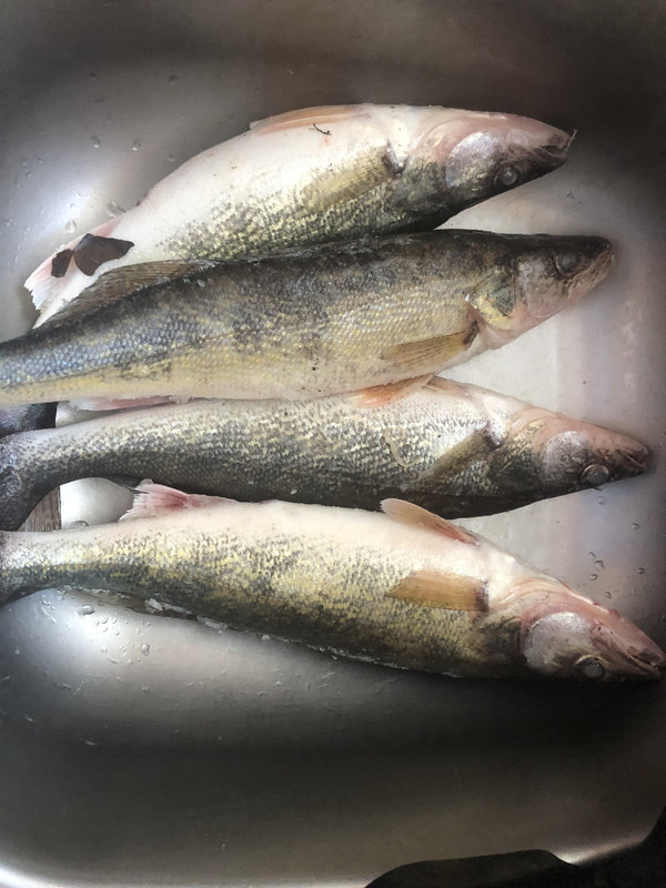 666B2ACE-4C38-4B97-A9D4-8078B19DA330