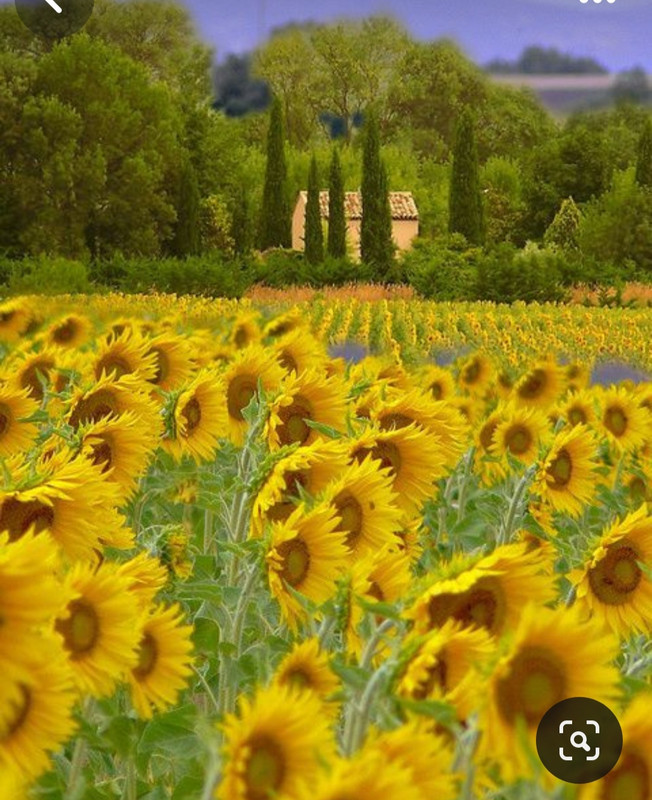 Screenshot_20240305_223806_Pinterest