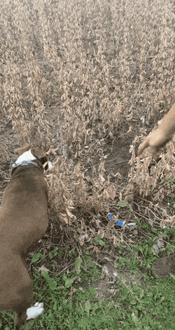 449.gif