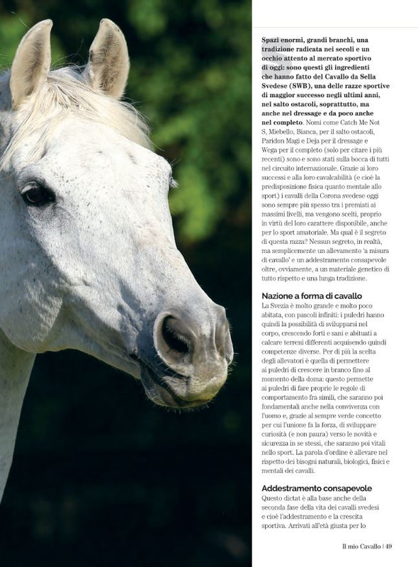 Il Mio Cav (Ago 2022) 8