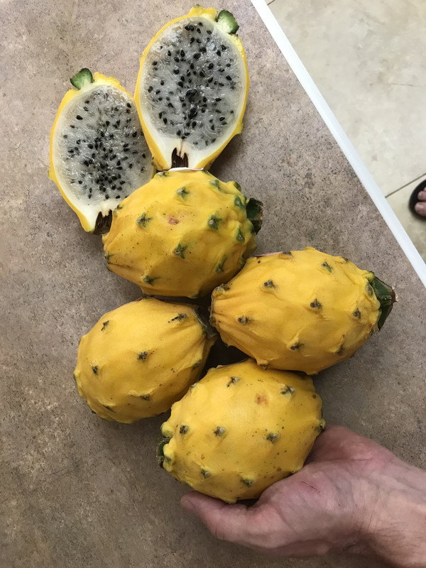 E3735977-FF88-4253-9539-2C211D1A712B