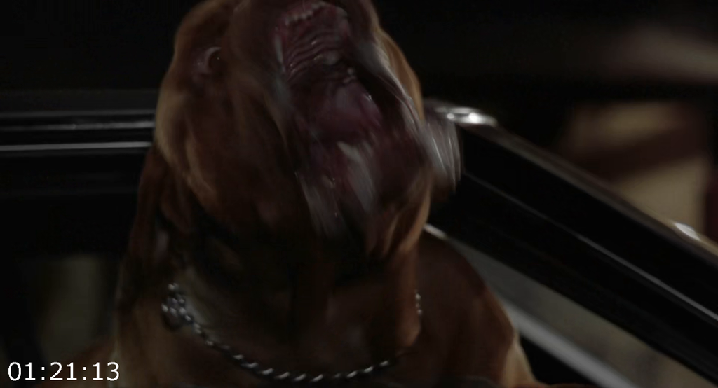 [Kép: Turner-And-Hooch-1989-1080p-WEB-HEVC-BONE-F.png]