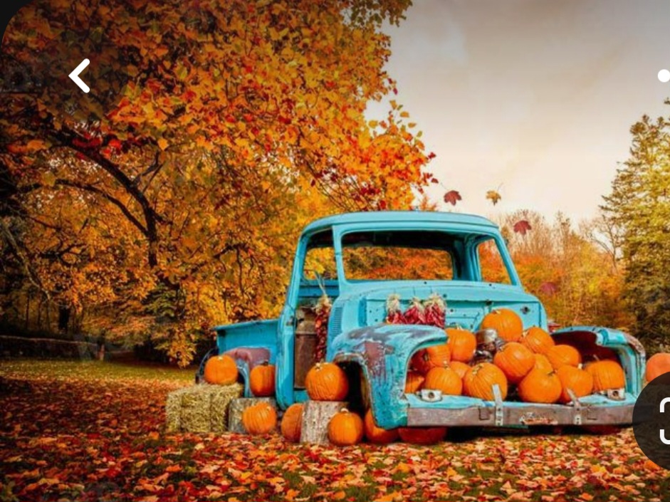 Screenshot_20230302_234403_Pinterest