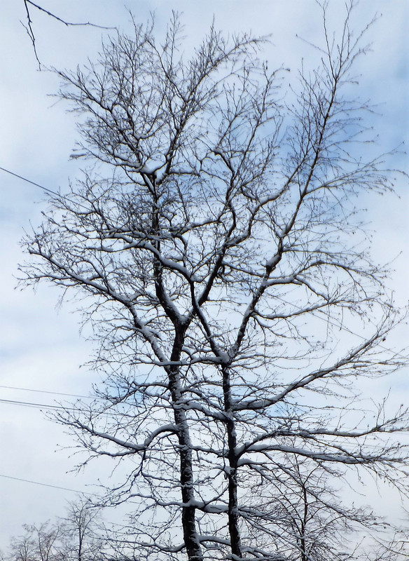 DSCF6072 (2)