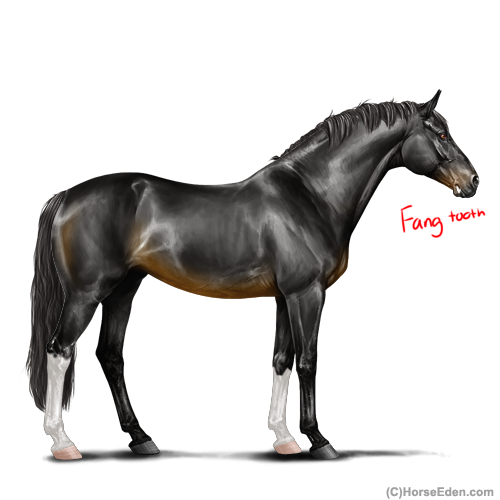 Untitled1173-20250723120920.png