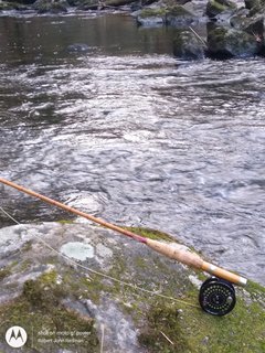 IMG_20231126_152826690