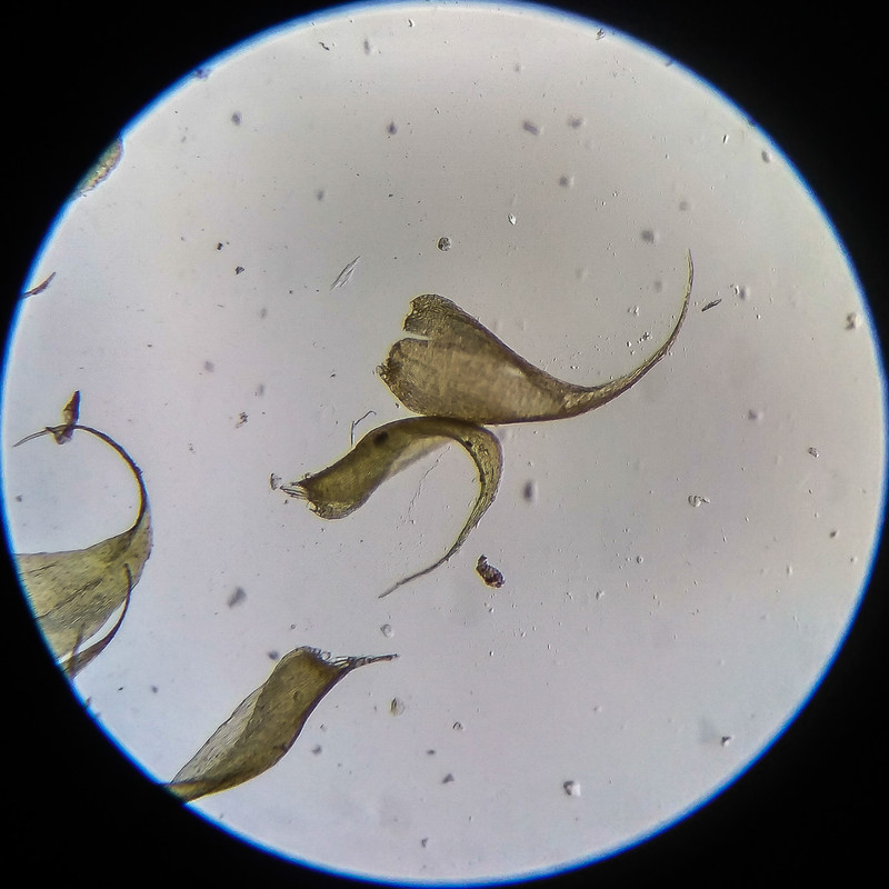 IMG 20250614 203200 HDR