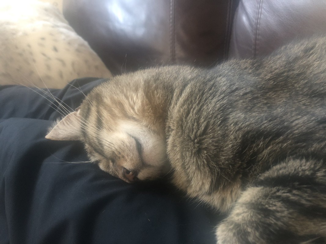 10581CE0-515D-4114-81C8-3BD70E4D1C96