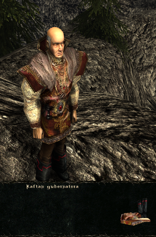 pancerze i ubrania (29)