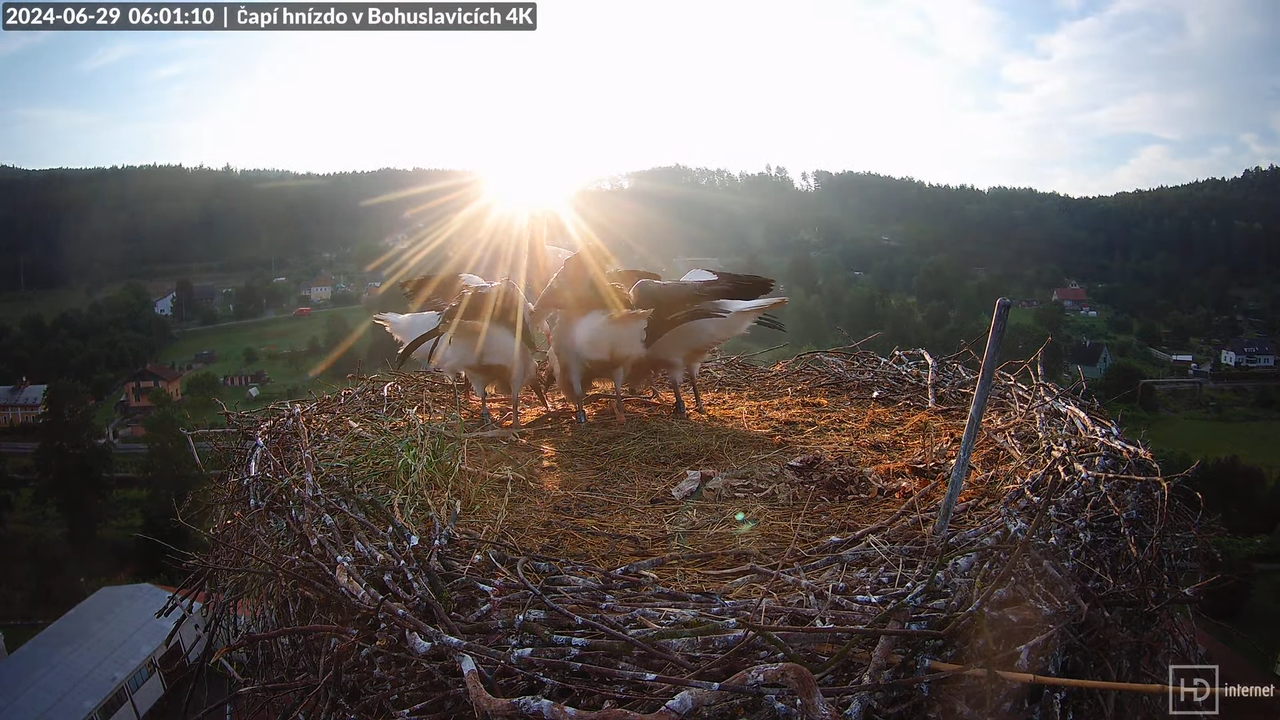 Tiešraidē no uzņēmuma KARA stārķa skursteņa Bohuslavicē pie Trutnovas 10-33-49 screenshot