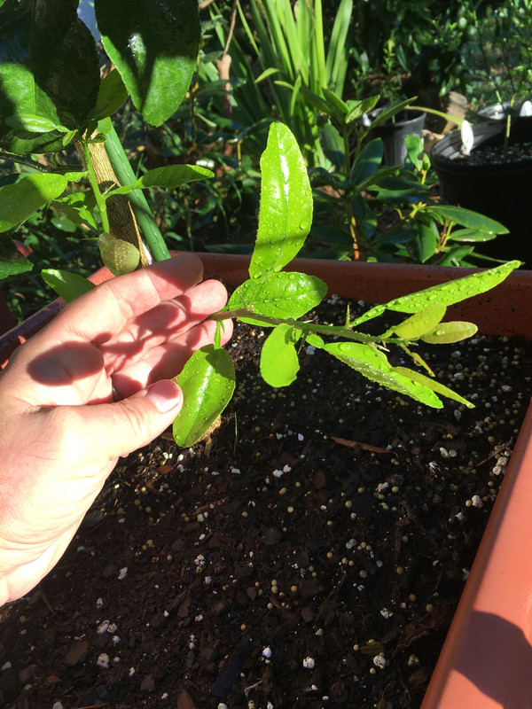 C8293BFB-BBF4-47EF-A39C-FA00C8BCBD28