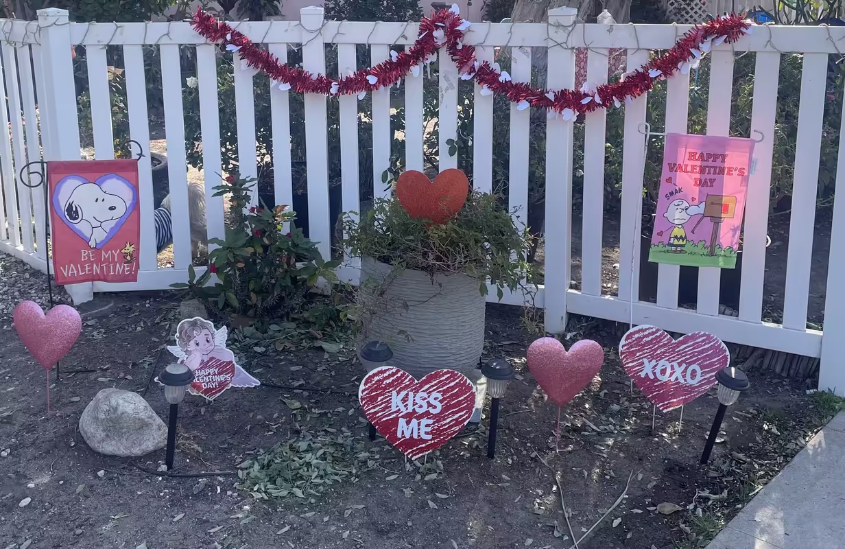 4D78958C-EE66-4F39-909F-8FA29276FE45_1_201_a