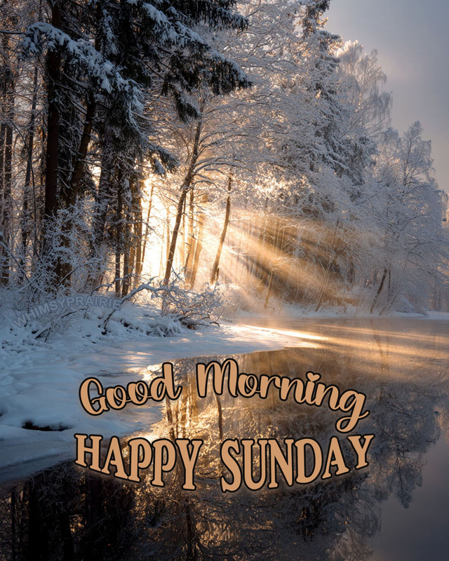 615731518-823201434096436-4240295200667869486-n