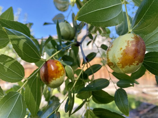 [Image: 0-F2-A3-C5-E-38-BE-4-F64-8-EE1-9049772-B9841.jpg]