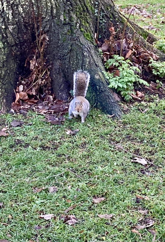 12BD925B-DA3B-4E0F-9551-5C51A2CE2569