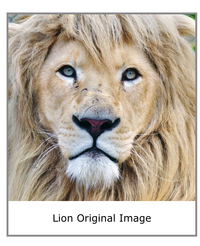 Sharpened Image