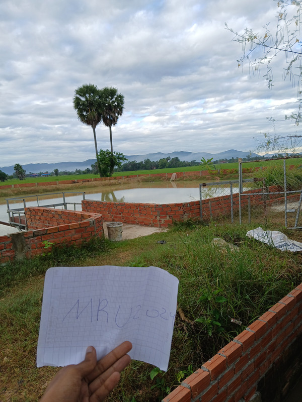 20241020_065404