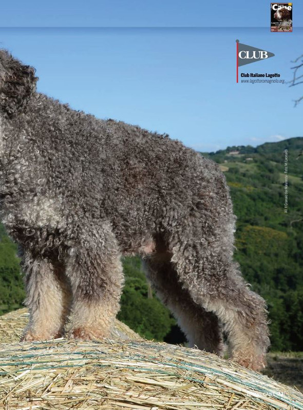 Il M C Set 2021 (10)