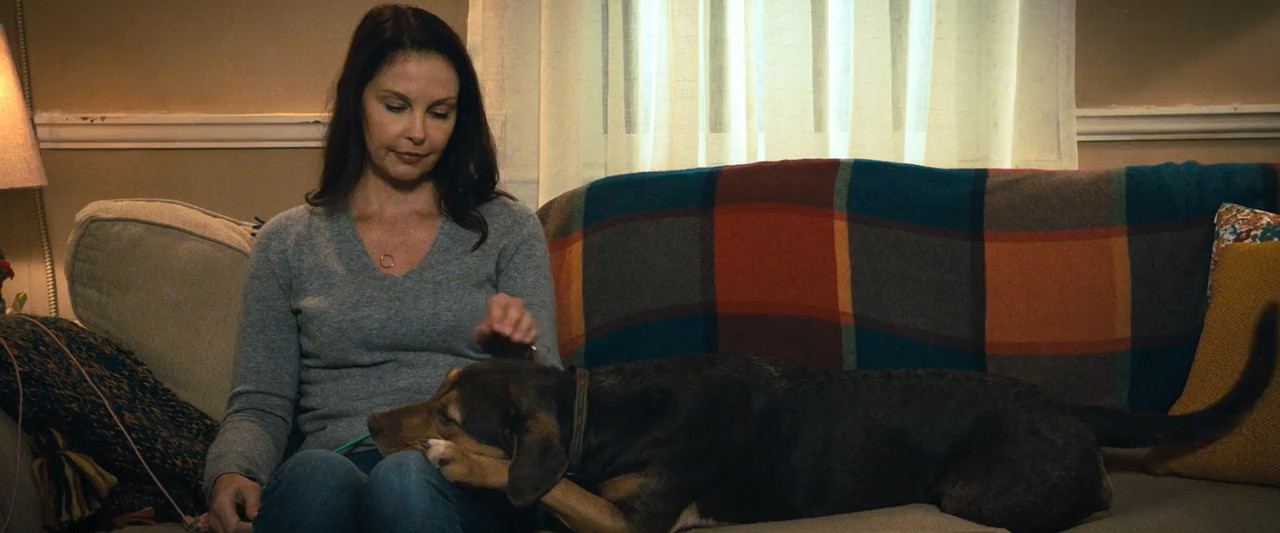 A Dog's Way Home 2019 BluRay [Hindi + Tamil + Telugu + English] 480p, 720p ESub Screenshot