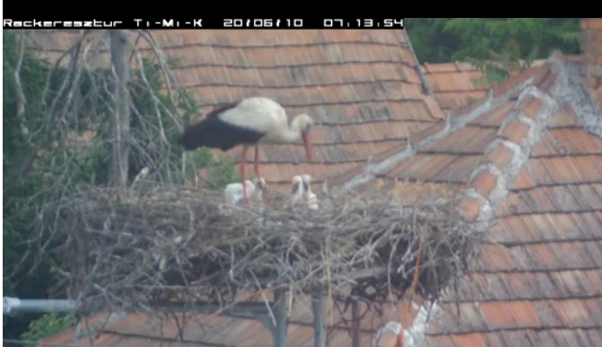 2020-06-10_075220 a három m