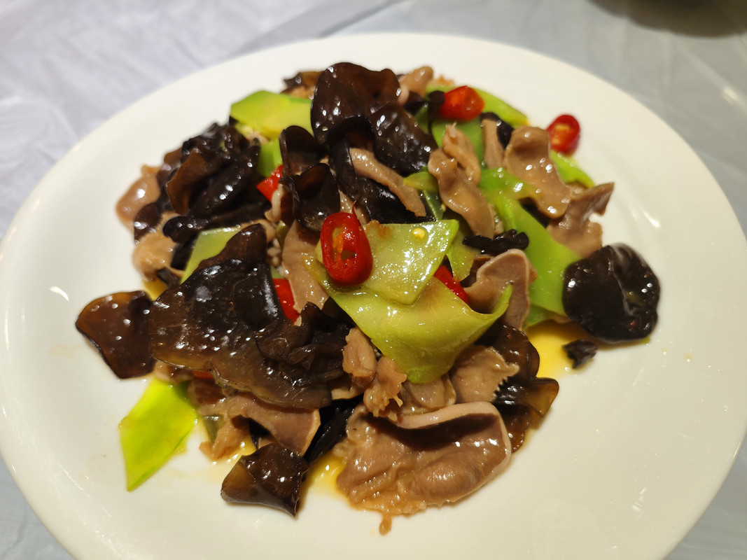 IMG_20230513_222032_副本