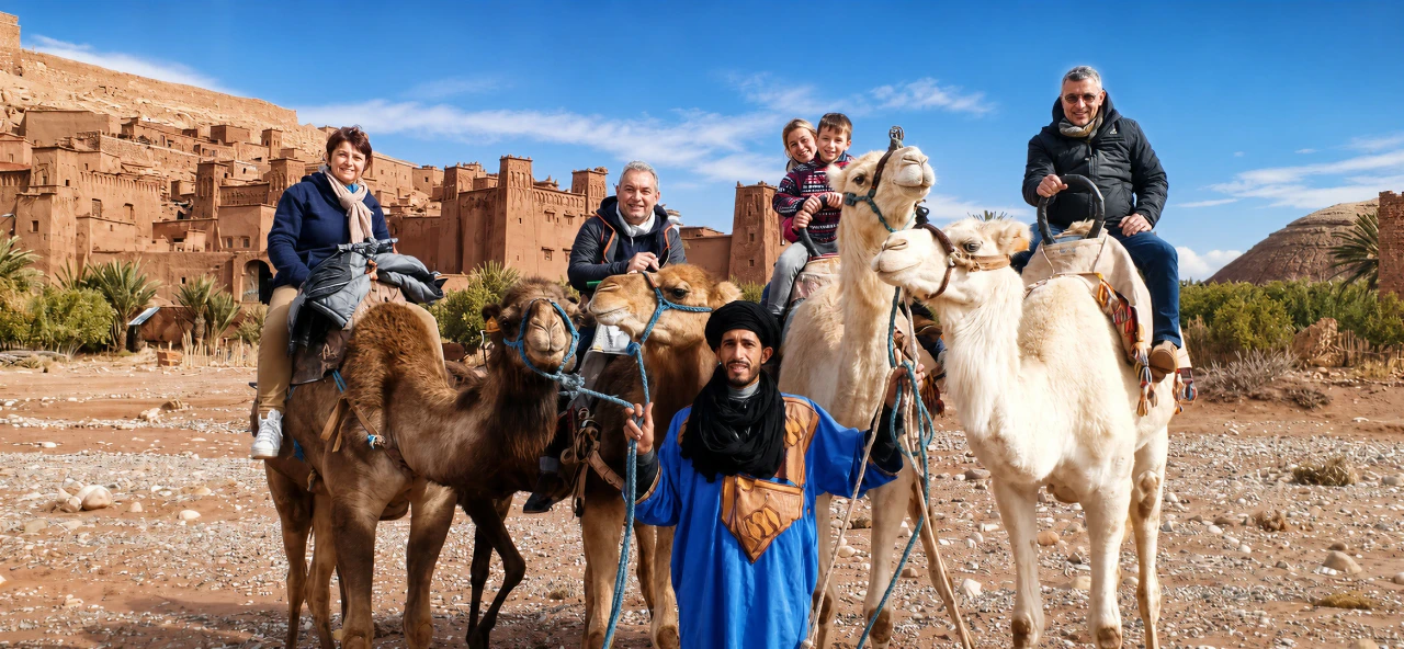 Camel in Desert 2